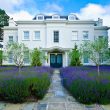 Lavender,Palace