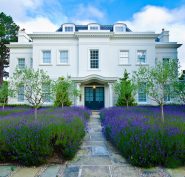 Lavender,Palace